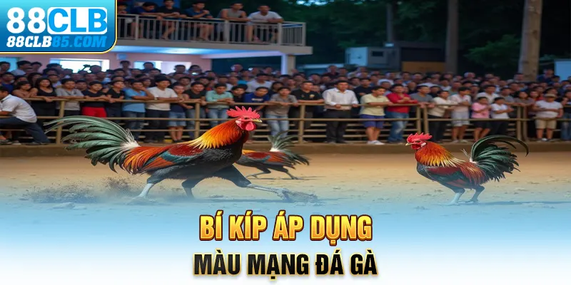 Bí kíp áp dụng màu mạng đá gà