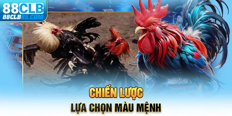 Chiến lược lựa chọn màu mệnh