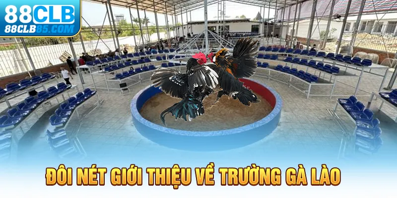 Đôi nét giới thiệu về trường gà Lào