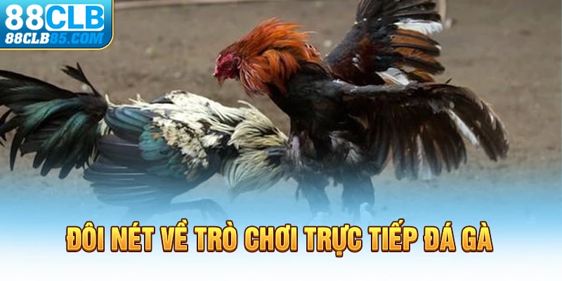 Đôi nét về trò chơi trực tiếp đá gà