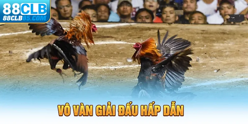 Vô vàn giải đấu hấp dẫn