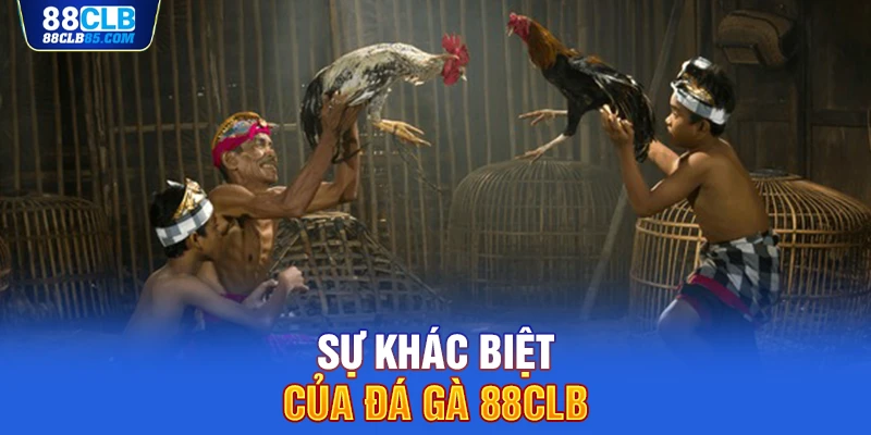 Sự khác biệt của đá gà 88CLB